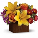 Flower Cart - Florists