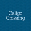 Caligo Crossing gallery