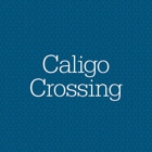 Caligo Crossing