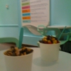 Yogurtini gallery