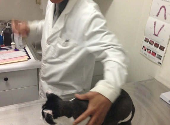 Westside Animal Hospital - New York, NY