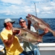 Sea Leveler Sport Fishing Charters