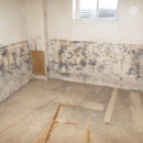 Eagle  Environmental Services LLC - Mold Remediation