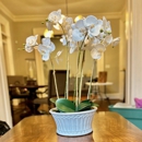 Blue Moon Estate Sales