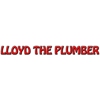 Lloyd the Plumber gallery