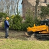 Viking Stump Removal gallery