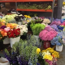 San Francisco Flower Mart - Florists