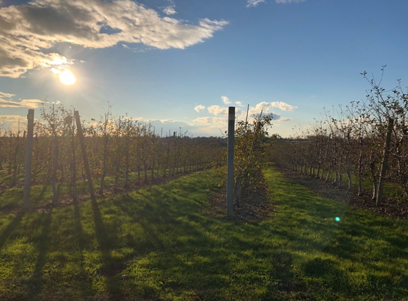 Sweet Berry Farm - Middletown, RI