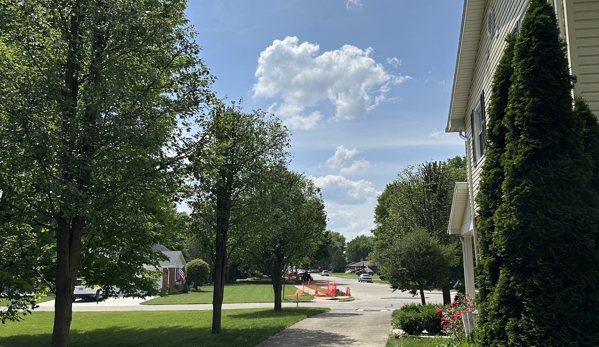 F & F Tree Service - Beavercreek, OH