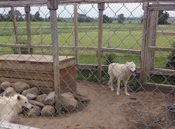 Summerfield Farm and Zoo - Belvidere, IL