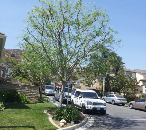 Environmental Landscaping - Van Nuys, CA