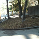 Forest Yard Work - Landscaping & Lawn Services