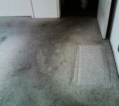 A+ Carpet & Furniture Cleaning - Longview, WA