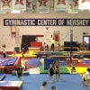 Gymnastics Center of Hershey gallery
