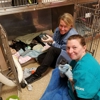 Raynham Veterinary Hospital, Inc. gallery