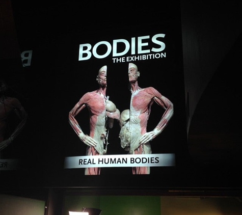 Bodies The Exhibition - Las Vegas, NV