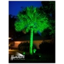 Hammerit Premier Outdoor Illumination