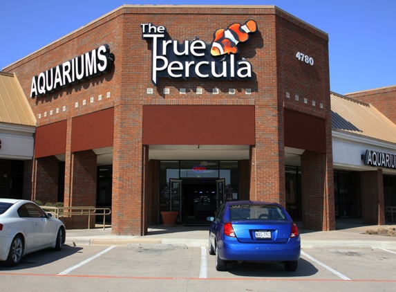 The True Percula - Arlington, TX