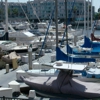 Dolphin Marina Slips gallery