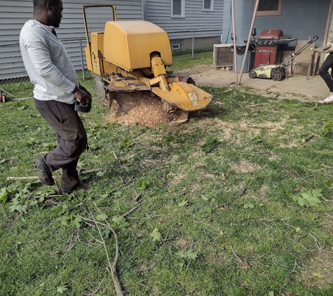 F & F Tree Service - Beavercreek, OH