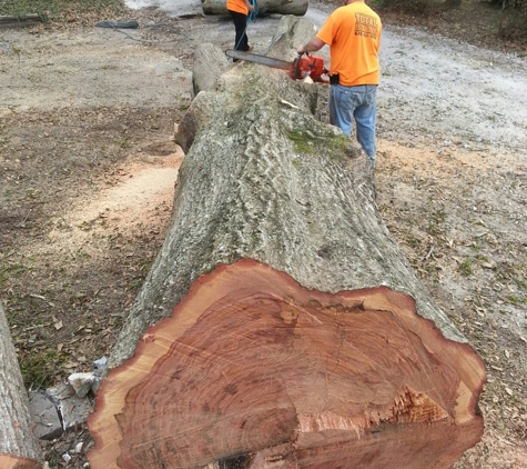 Total Tree Solutions,McDonough - Mcdonough, GA