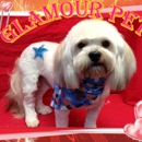 Glamour Pets - Pet Grooming