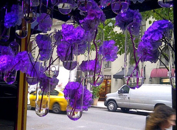 Flowers of the World - New York, NY