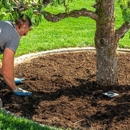 Foran Lawn & Yard - Gardeners