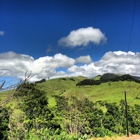 Ulupalakua Ranch Store & Grill