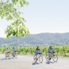 Sonoma Valley Bike Tours gallery