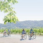 Sonoma Valley Bike Tours