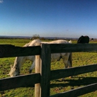 Worcester Stables