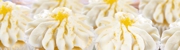 Gigi's Cupcakes - Bakeries