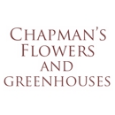 Chapman's Flowers - Flowers, Plants & Trees-Silk, Dried, Etc.-Retail