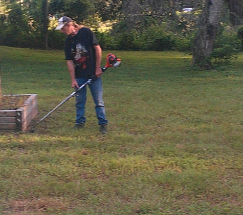 Seffner Lawn Care - seffner, FL