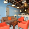 Cove gallery