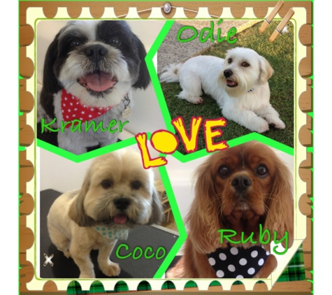 LIMElight Pet Salon - Buddina, QLD