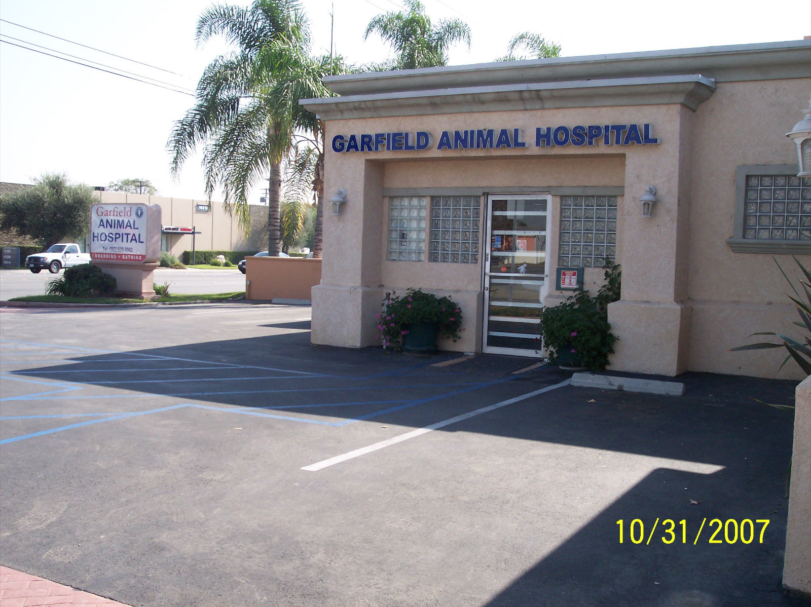 garfield animal hospital