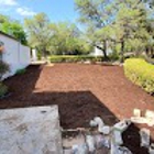 Food Forest Abundance