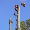 Arborist Services LLC gallery