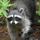 Hank's Pest & Termite Control - Pest Control Equipment & Supplies