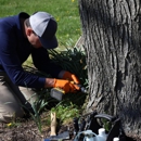 AC Plant & Turf - Arborists