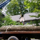 Bryant's Tree Service LLC - Tree Service