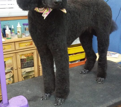 Fur Dogs Only Grooming Salon - Fort Pierce, FL