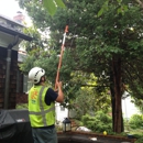 Titan Tree Care - Arborists