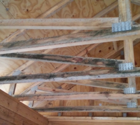 Anver Log Homes - Tavares, FL. Mold