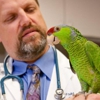 Pet Emergency & Specialty Center-South County gallery