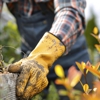 First Choice Tree Service Corp gallery