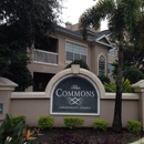 The Commons Apartments - Apartment Finder & Rental Service