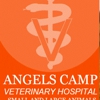 Angels Camp Veterinary Hospital gallery
